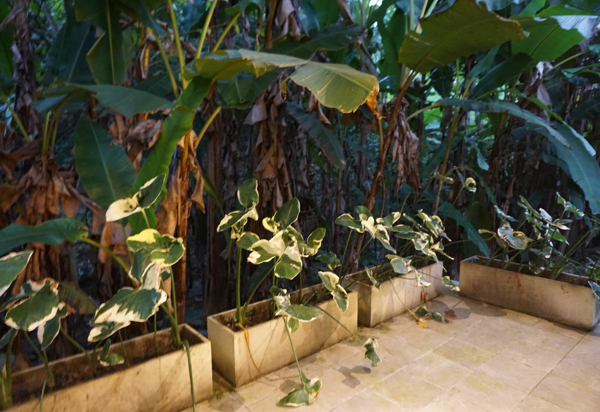 Villa De View צ'יאנג דאו מראה חיצוני תמונה