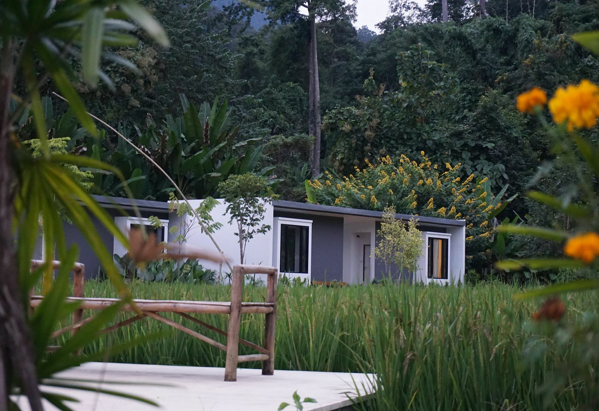 Villa De View צ'יאנג דאו מראה חיצוני תמונה